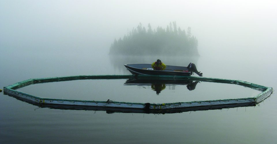 ELA boat on lake, foggy A\J AlternativesJournal.ca