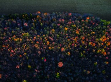 Aerial photo of autumn forest. A\J AlternativesJournal.ca