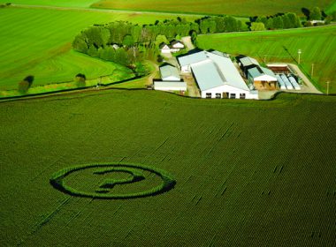 Photo: Micheal Desjardins \ Greepeace.org question mark crop circle A\J