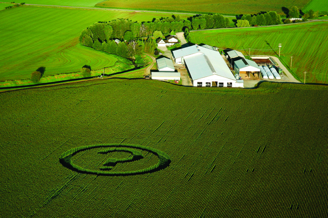 Photo: Micheal Desjardins \ Greepeace.org question mark crop circle A\J