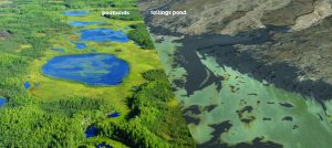 Peatlands contrasted with tailings ponds. A\J AlternativesJournal.ca
