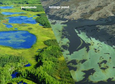 Peatlands contrasted with tailings ponds. A\J AlternativesJournal.ca