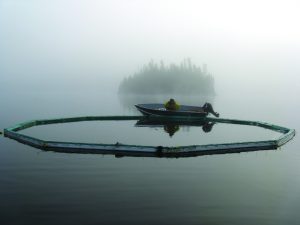 ELA boat on lake, foggy A\J AlternativesJournal.ca