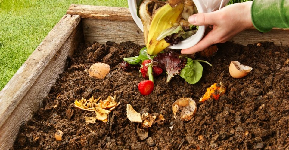 iStock_16223881_compost_jml5571