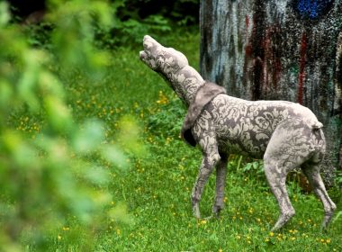 Coy wolves. Textile over taxidermy forms, found fur and accessories. A\J