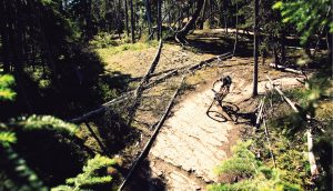 Man biking on a trail in the forest. A\J AlternativesJournal.ca