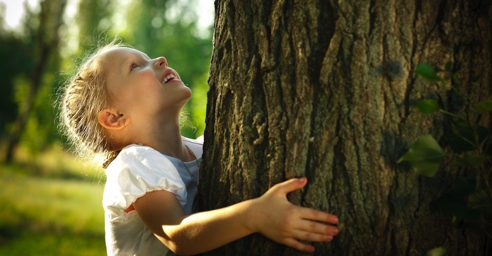 treehugger © paffy - Fotolia