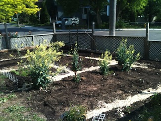 Front yard garden 