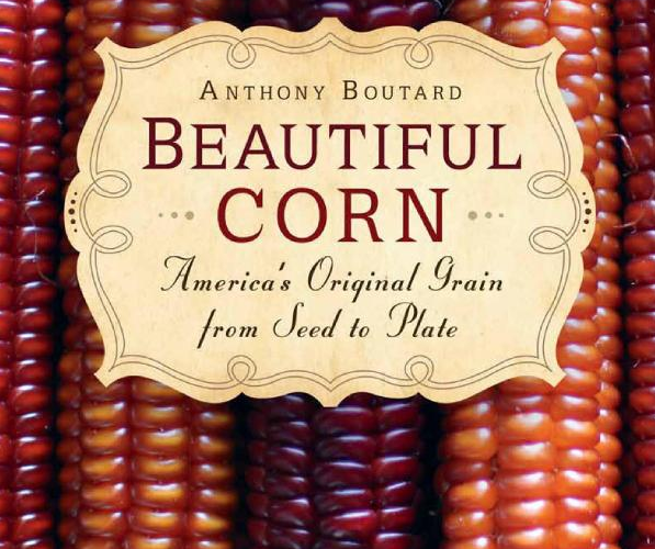 Beautiful Corn book review A\J AlternativesJournal.ca