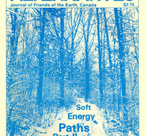 Soft Energy Paths Part ll Alternatives Journal 9.1