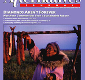 Diamonds Aren't Forever Alternatives Journal 22.4