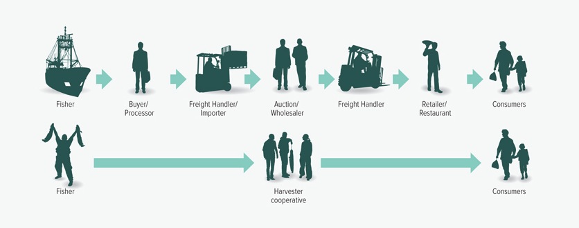 Fish can get lost in the shuffle of the long and complicated industrial food chain, but Community Supported Fisheries and other small-scale options simplify the system and ensure more profit stays with the fishers.