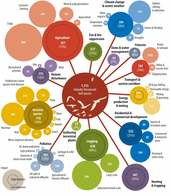 Global threats to endangered bird species from the State of the World's Birds report, BirdLife International.