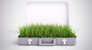 grass briefcase corporate sustainability A\J AlternativesJournal.ca