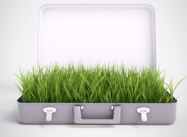 grass briefcase corporate sustainability A\J AlternativesJournal.ca