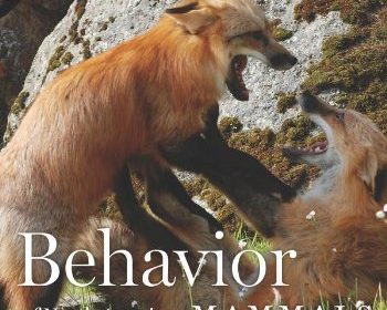 Behavior of North American Mammals book review A\J AlternativesJournal.ca