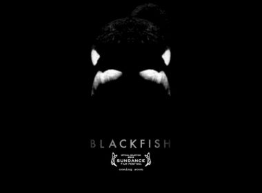 Blackfish film review A\J AlternativesJournal.ca