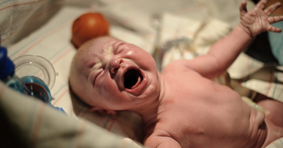 crying baby polluted cord blood A\J AlternativesJournal.ca