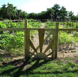 The Guelph Street Community Garden