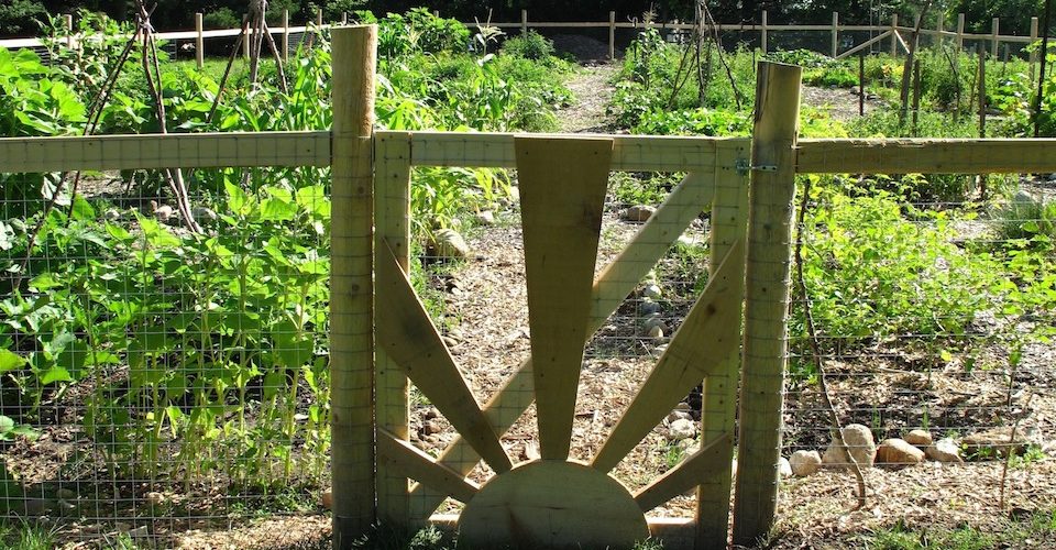 The Guelph Street Community Garden