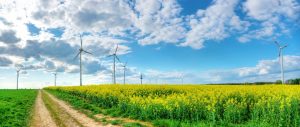 The path to renewable energy. A\J History. Alternatives Journal.