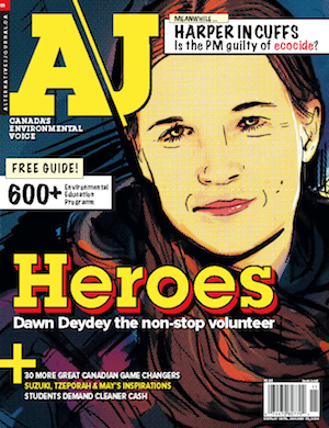 A\J Heroes issue cover. Dawn Deydey the non-stop volunteer