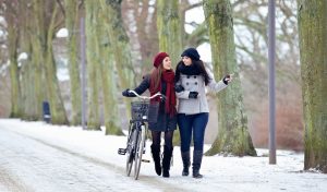 winter biking basics A\J AlternativesJournal.ca