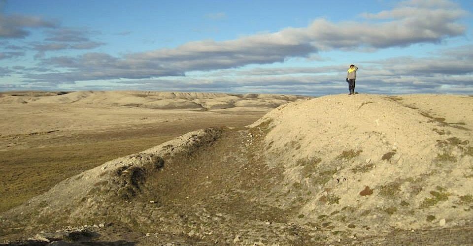 Arctic tundra, Victoria Island, Nunavut.