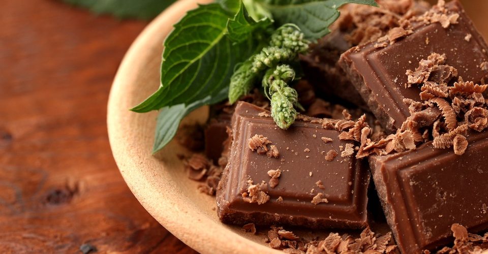 Pieces of chocolate and mint leaves