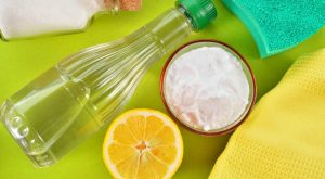 cleaning with lemon, vinegar, baking soda and borax A\J AlternativesJournal.ca