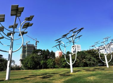 Solar panel "trees"