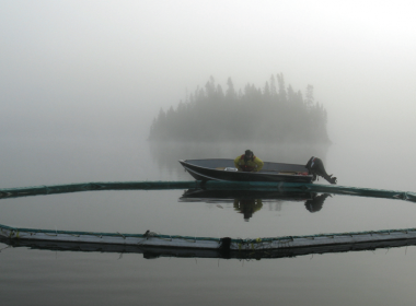 A researcher at the Experimental Lakes Area in Ontario.