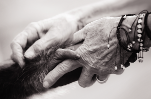 Mercy by Jo-Anne McArthur.