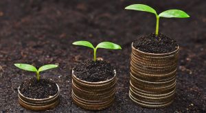 Seedlings growing on stacks of coins.