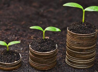 Seedlings growing on stacks of coins.