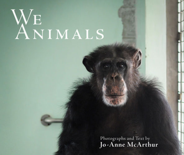 We Animals book cover, Jo-Anne McArthur, book review on A\J