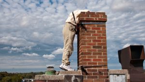 An Ontario SwiftWatch volunteer peers into a chimney. 