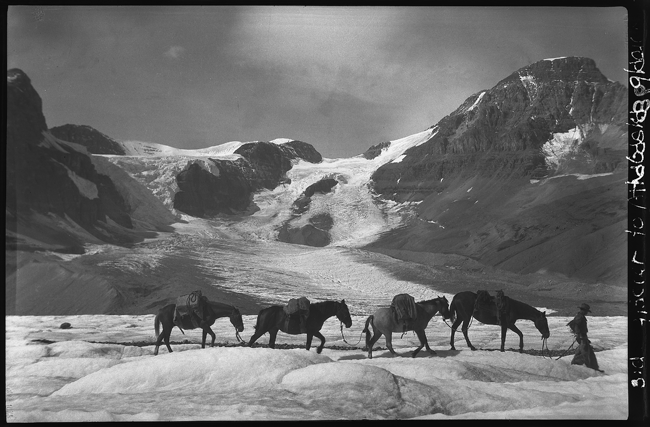 columbia icefield trip, side glacier to saskatchewan Glacier | 1924 | Byron Harmon, Whyte Museum of the Canadian Rockies.