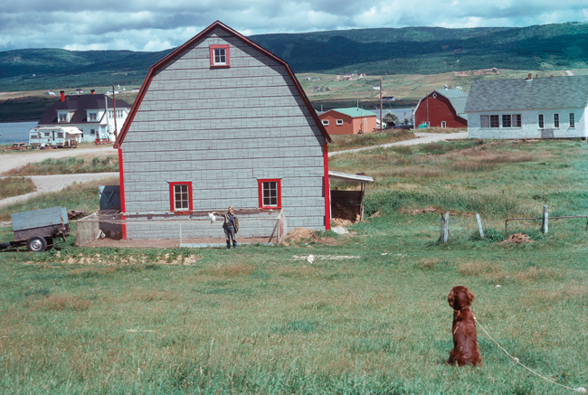 Portrait of Lynn Zimmerman, Margaree Harbour,Cape Breton | early 1970’s | George Thomas | Kodachrome slide. Photo courtesy of Amish Morell.