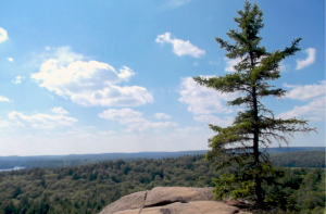 Algonquin Park. Photo by Dan Beare.