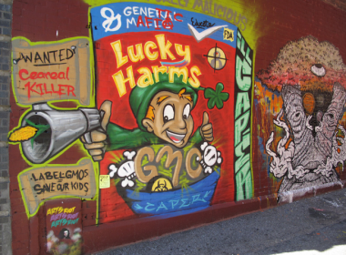 Lucky Harms made with real GMO. Vermont mural by Brian Clark.