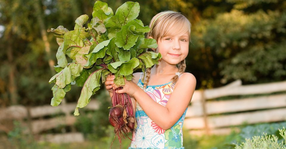 Young girl with root vegetables, learning how food is produced.