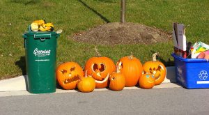 Pumpkins after Halloween by Mk2010.