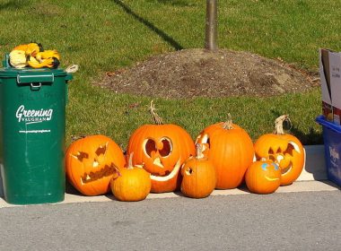 Pumpkins after Halloween by Mk2010.