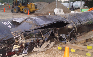 Ruptured pipeline responsible for Kalamazoo spill.