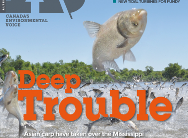 40.5 Issue Cover – Water 2014 "Deep Trouble"