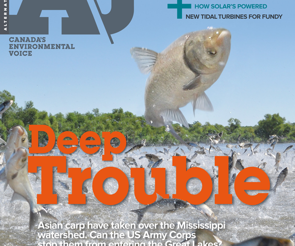 40.5 Issue Cover – Water 2014 "Deep Trouble"