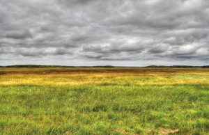 The Tantramar salt marshes of New Brunswick