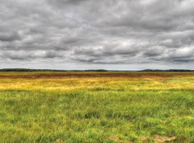 The Tantramar salt marshes of New Brunswick