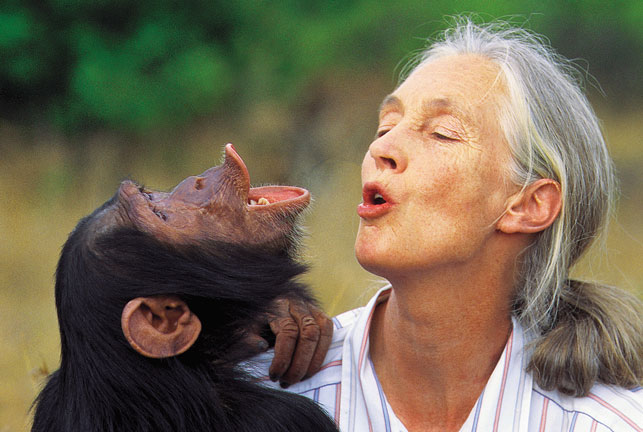 Jane Goodall and chimp